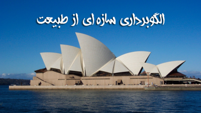 دانلود رایگان پاورپونت الگوبرداري سازه اي از طبيعت