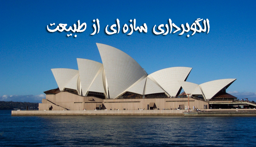 دانلود رایگان پاورپونت الگوبرداري سازه اي از طبيعت